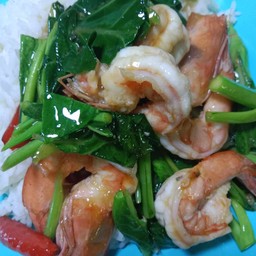 คะน้ากุ้งราดข้าว