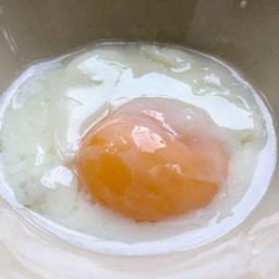 ไข่ลวก(แยก)