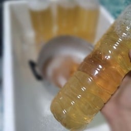 ไม้ฟืน (ตาหวาน)