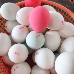 ไข่เค็ม 1 ฟอง