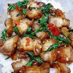 ข้าวกระเพราหมูกรอบ