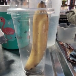 น้ำผลไม้สดปั่น UD