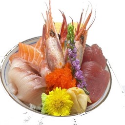 Koto  Don