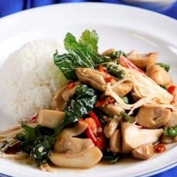 ข้าว+กระเพราเห็ดสามสหาย