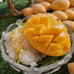 ร้านข้าวเหนียวมะม่วงป้าติ๋ม บุญศิริ18