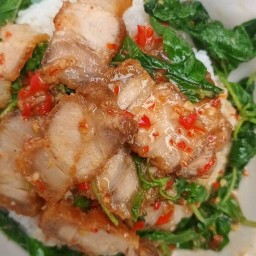 ครัวหลังบ้าน