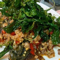 กะเพราหมูสับไข่เยี่ยวม้ากะเพรากรอบราดข้าว