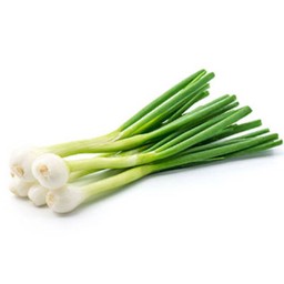 ต้นหอมไทย