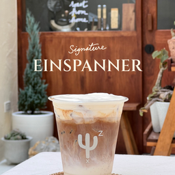 EINSPANNER