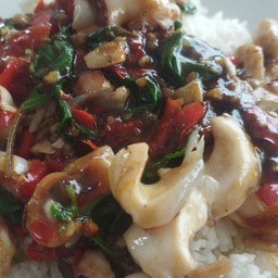 [อร่อยซ่ากับโค้ก] กระเพระปลาหมึก หมึกเน้นๆ จัดจ้าน +  โค้ก ออริจินัล (กระป๋อง) 