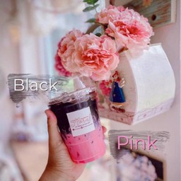 แบล็คพิ้งค์ - Black Pink