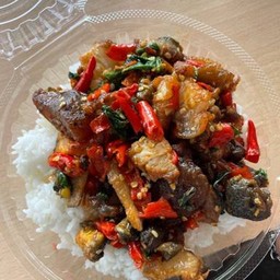 กระเพราหมูกรอบไข่เยี่ยวม้า เมนูแนะนำ ของทางร้าน