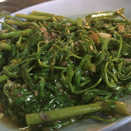 ผัดไฟแดง