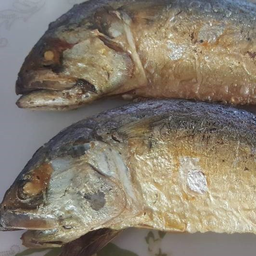 ปลาทูทอด