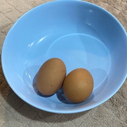 ไข่ไก่