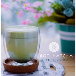 Hot Matcha - ชาเขียวมัทฉะร้อน