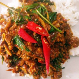 ผัดเผ็ดพริกแกงใต้เนื้อ หมู ไก่ หมูป่า ทะเล(กับข้าว)