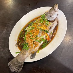 ปลากะพงนึ่งซีอิ๊ว (ตัว)