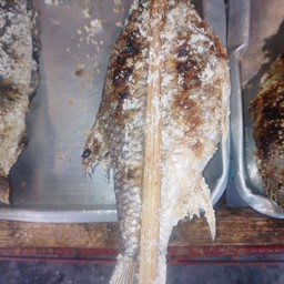 ปลาขาวตะเพียนเล็ก