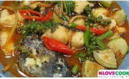 แกงป่าปลาช่อน