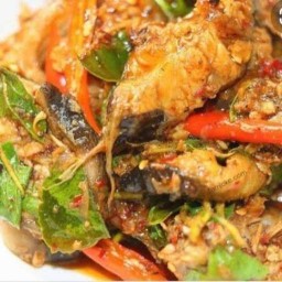 ร้านอาหารไทยและอิีสานน้องพล 000001