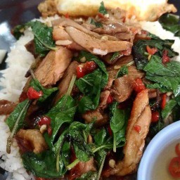 กระเพราเป็ด (กับข้าว)