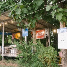 ปีกไก่ทอด