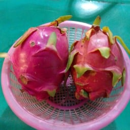 บุญหลายผลไม้สด ตลาดดอนกลาง สาขา 2