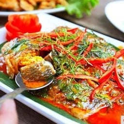 ฉู่ฉี่ปลาหมอ