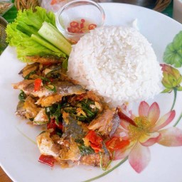 ข้าวปลาทูผัดใบโหระพา