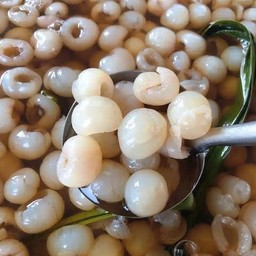 น้ำลำไย