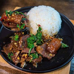 กะเพราพริกแห้ง เนื้อตุ๋นเอ็นตุ๋น (ราดข้าว)