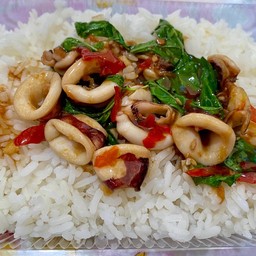ข้าวราดกระเพราปลาหมึก