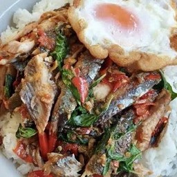 ข้าวราดกะเพราปลาทู