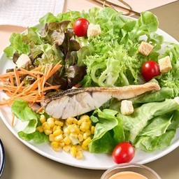 Sea Bass Salad