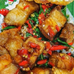 ข้าวกระเพราหมูกรอบ