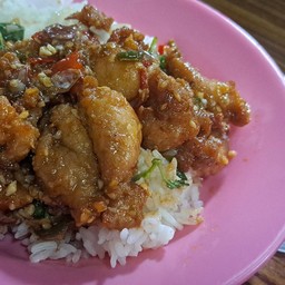 ข้าวราดกระเพราไก่ทอด