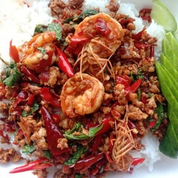 ผัดกระเพราหมูสับกุ้งราดข้าว