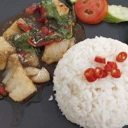 ข้าวราดกะเพราปลาดอลลี่