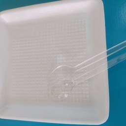 จานโฟม+ช้อน