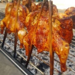 ป ปลาเผา : ส้มตำ ไก่ย่างวิเชียรบุรี เซเว่น อิเลฟเว่น สุขุมวิทซอย22