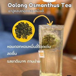 ชาอู่หลงหอมหมื่นลี้ เย็น