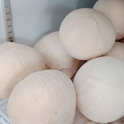 มะพร้าวเผา แช่เย็นลูกละ