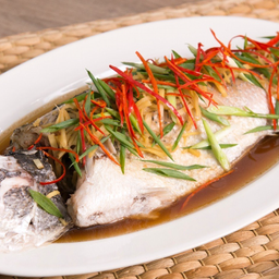 N61 Steamed sea bass with soy sauce 酱油蒸鲈鱼