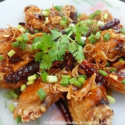 N09 Chicken with Tamarind Sauce 罗望子酱鸡肉