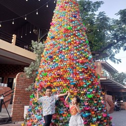 ผมไม้รวม