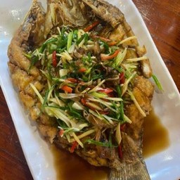 ปลา … ทอดซีอิ๊ว