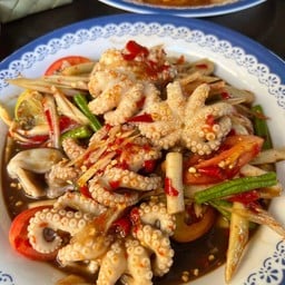 ตำหมึกสาย8