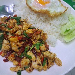 กะเพราไก่ชิ้นพริกแห้ง+ไข่ดาวฟรี