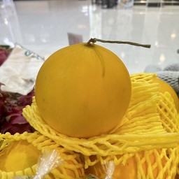 เมล่อนไข่ทองคำ